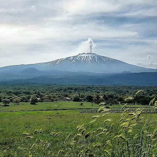 Vecchio Forno Villa Puntalazzo Kültér fotó